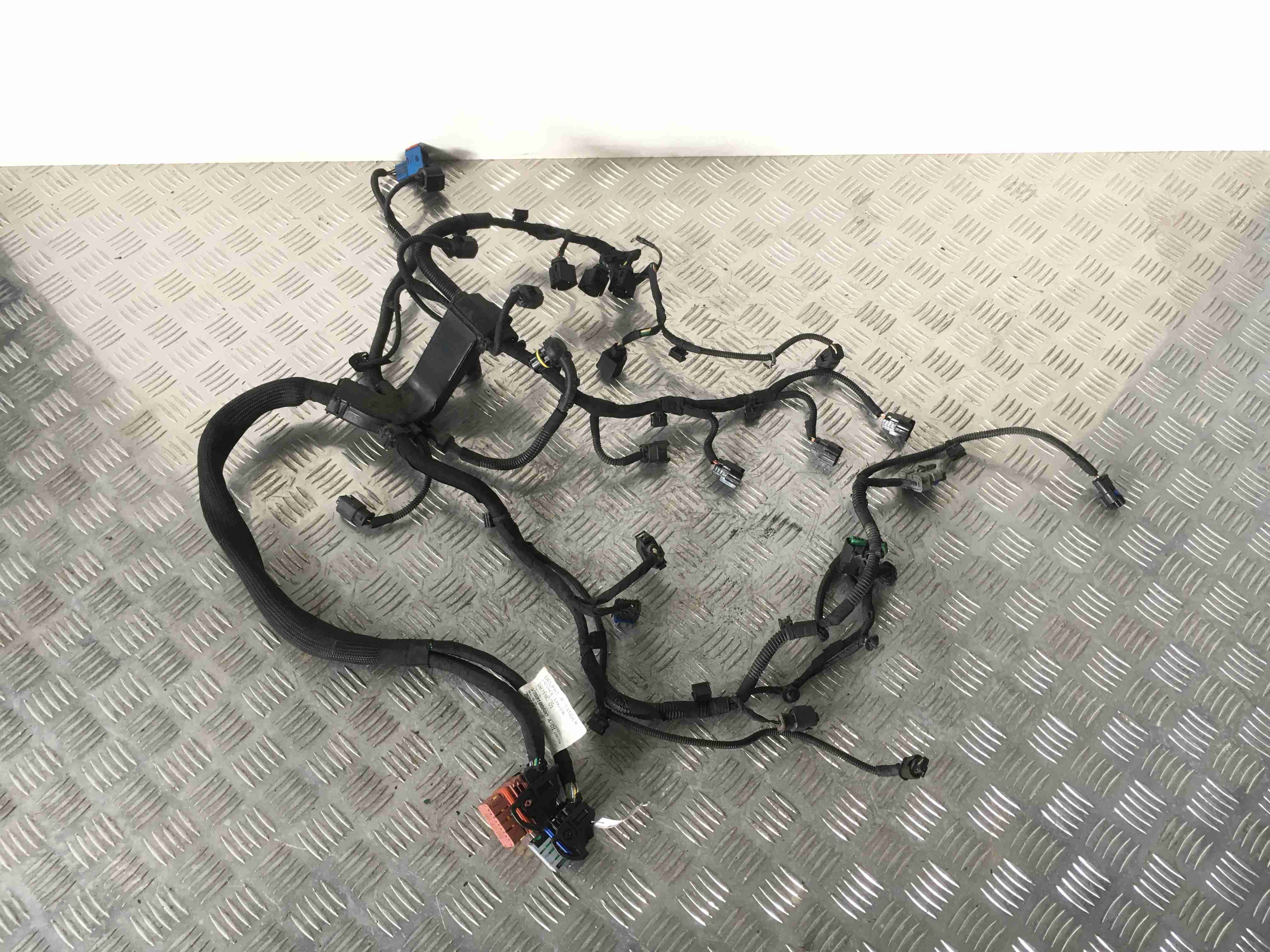 Citroen C4 Picasso C4 Picasso (UD) 2006 - 2013 Проводка двигателя V759188680,  7585956  006512