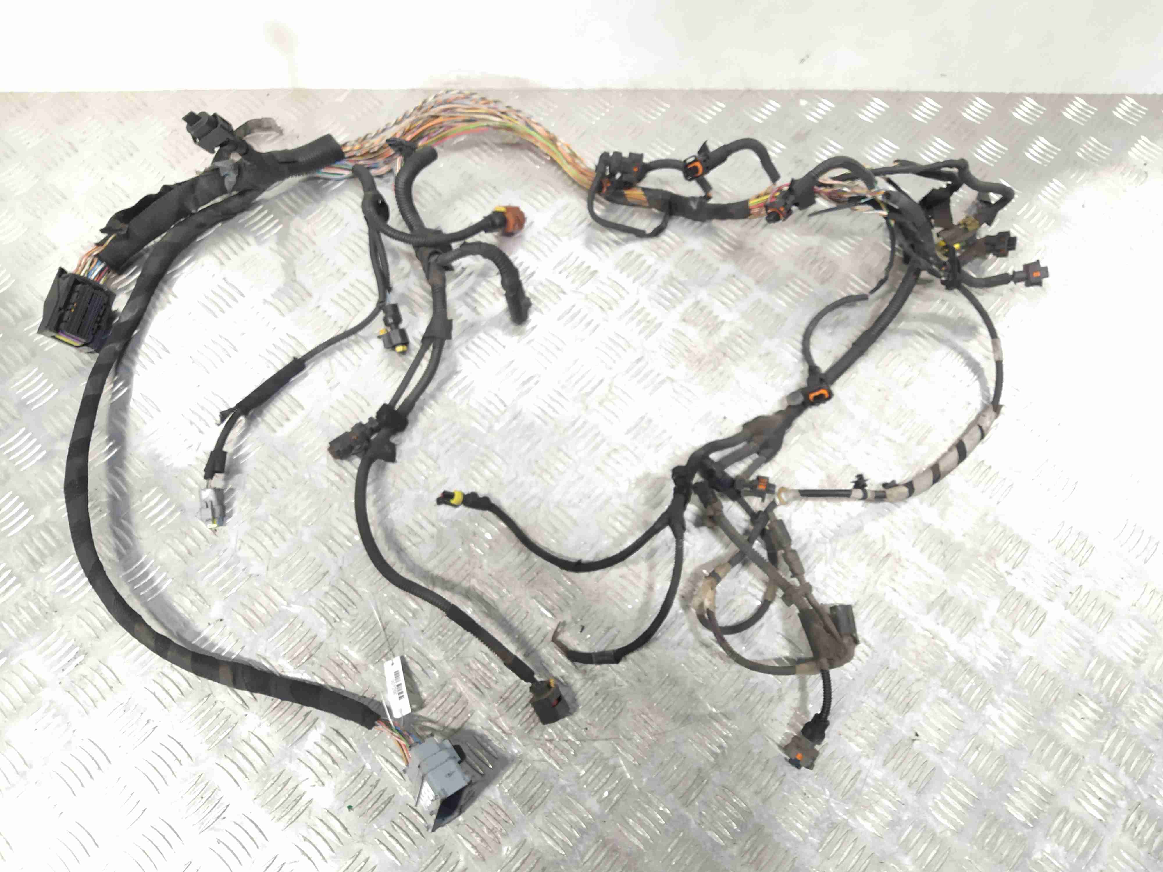 Fiat Ducato Ducato III (250-254) 2006 - 2016 Проводка двигателя F1AE3481D  007200